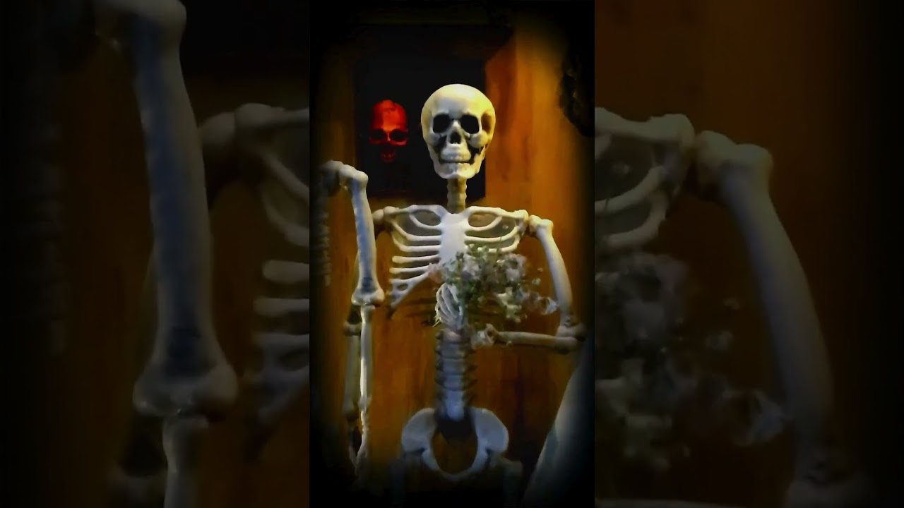 Quick Video Tour of our DIY RIPped Halloween Canvas