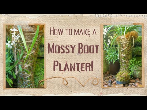 How to Make a Mossy Boot Planter