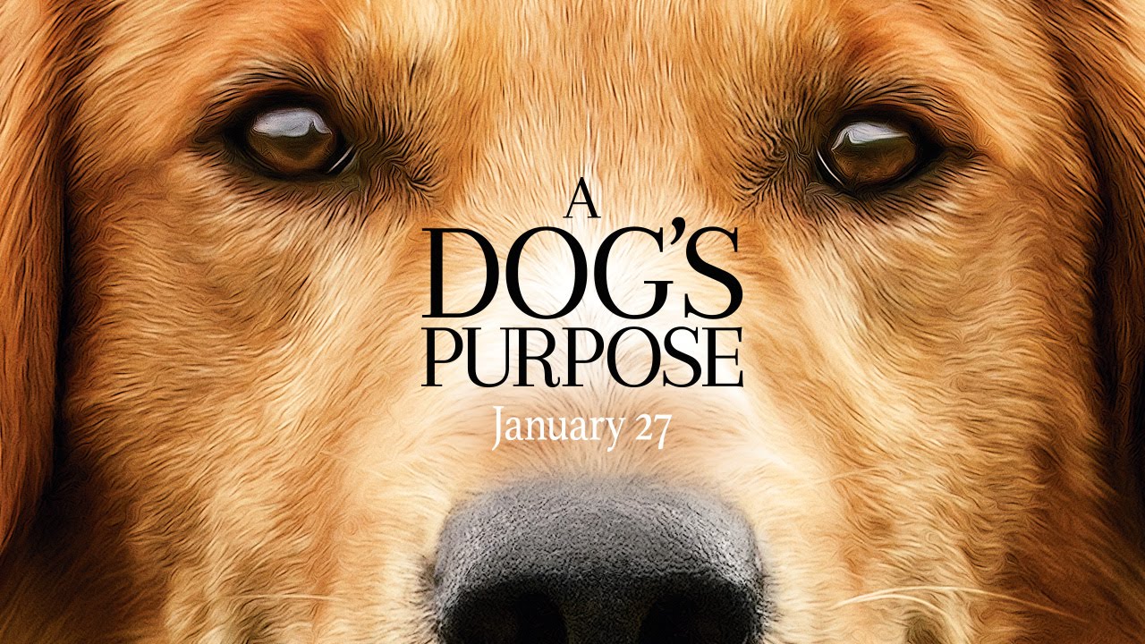 A Dog