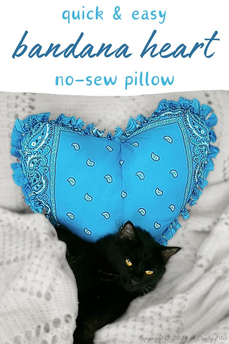 Fall in love with this adorable no-sew bandana heart pillow! Get crafty with us and learn how to create your own heart-shaped masterpiece using your favorite bandanas. Perfect for decorating, gifting, or even just to cuddle up with.