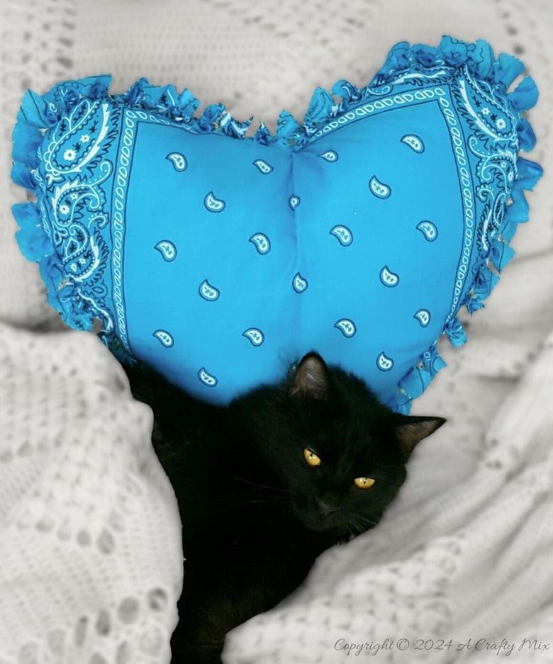 Fall in love with this adorable no-sew bandana heart pillow! Get crafty with us and learn how to create your own heart-shaped masterpiece using your favorite bandanas. Perfect for decorating, gifting, or even just to cuddle up with.