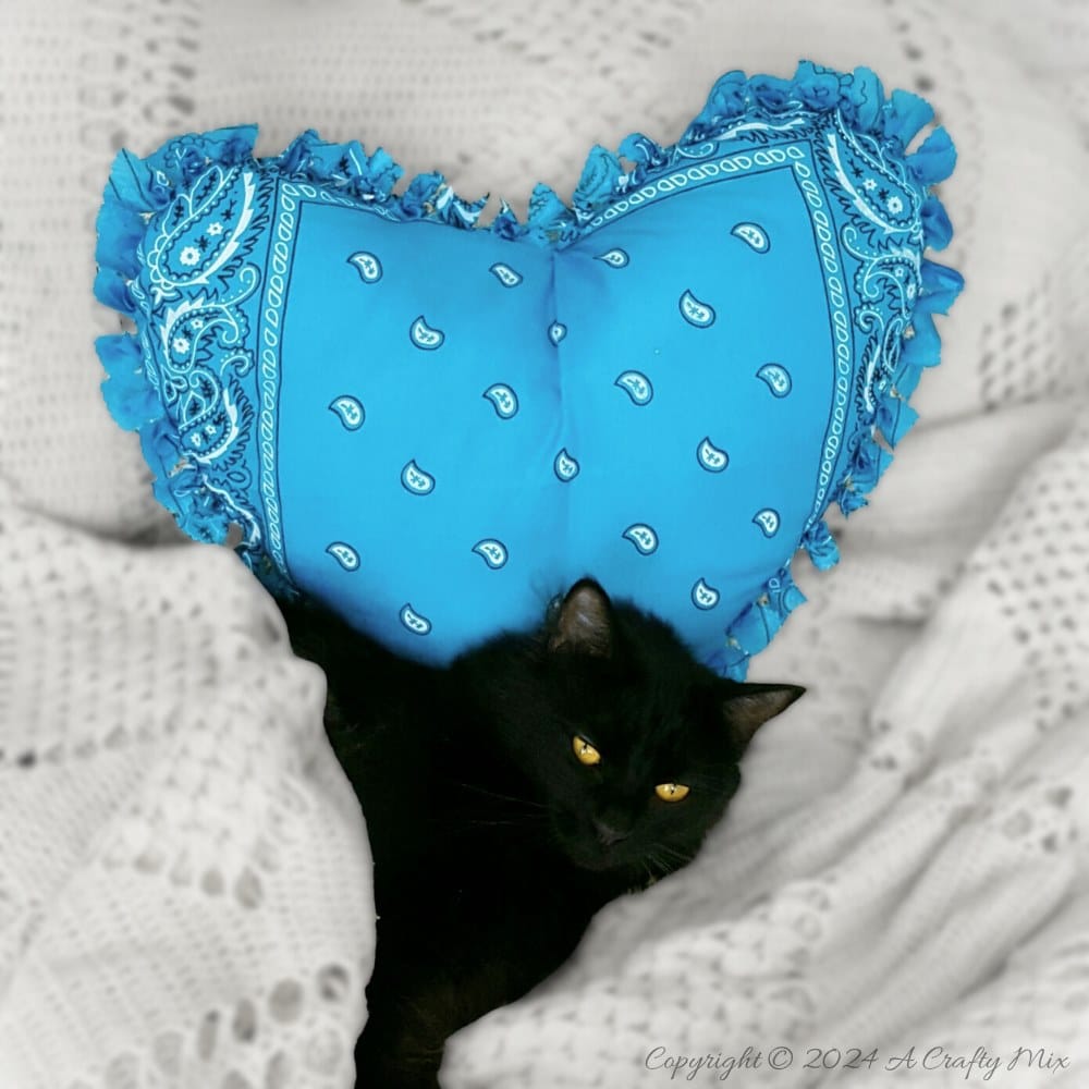 Fall in love with this adorable no-sew bandana heart pillow! Get crafty with us and learn how to create your own heart-shaped masterpiece using your favorite bandanas. Perfect for decorating, gifting, or even just to cuddle up with.