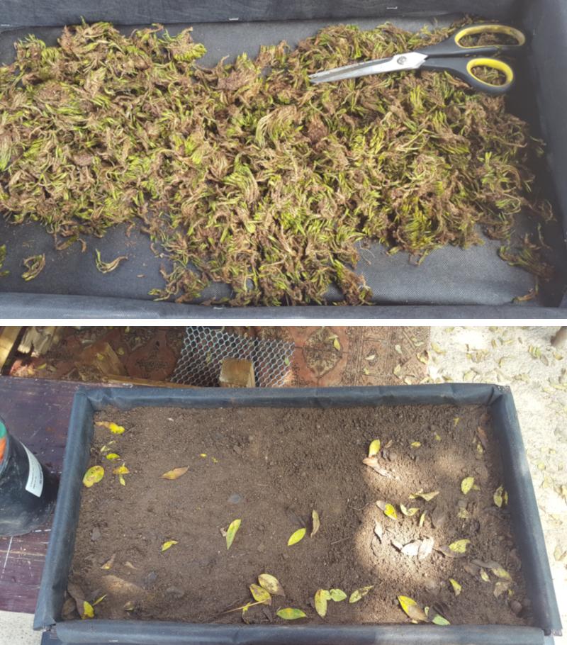 Fill with moss and sand