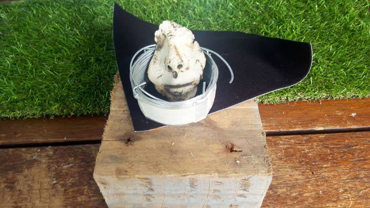 To turn broken potter into art you need a block of wood, felt and wire