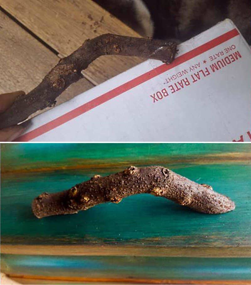 To make a branch handle use a cardboard box to figure out where to cut the branch so it's level with the door.