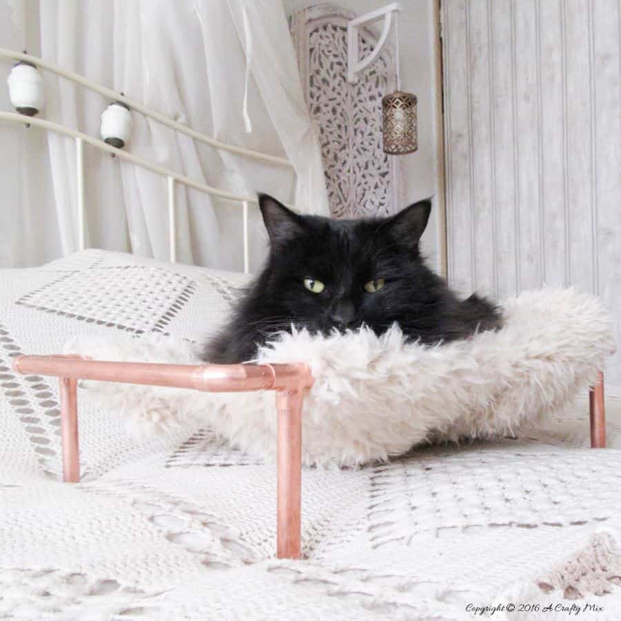 Repurpose an old sweater and copper pipes into a DIY bed for your purr babies. It's quick and easy to do, and a great way to recycle an those old sweaters! Your kitties will love it. #DIYCatBed #DIYPets #DIYHome #PetFriendly
