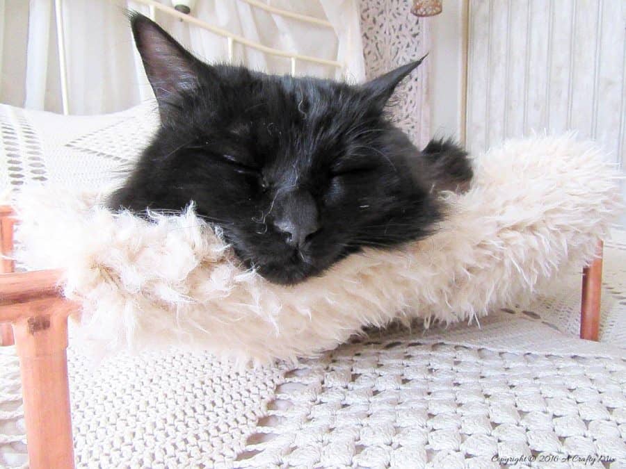 Repurpose an old sweater and copper pipes into a DIY bed for your purr babies. It's quick and easy to do, and a great way to recycle an those old sweaters! Your kitties will love it. #DIYCatBed #DIYPets #DIYHome #PetFriendly