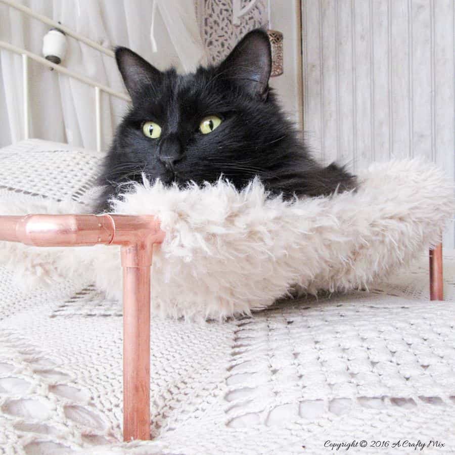 Repurpose an old sweater and copper pipes into a DIY bed for your purr babies. It's quick and easy to do, and a great way to recycle an those old sweaters! Your kitties will love it. #DIYCatBed #DIYPets #DIYHome #PetFriendly