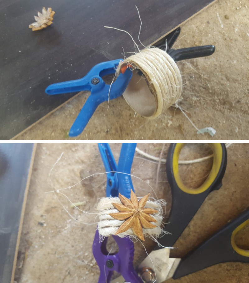 Secure the string with a clamp while it dries and glue on the seed pod