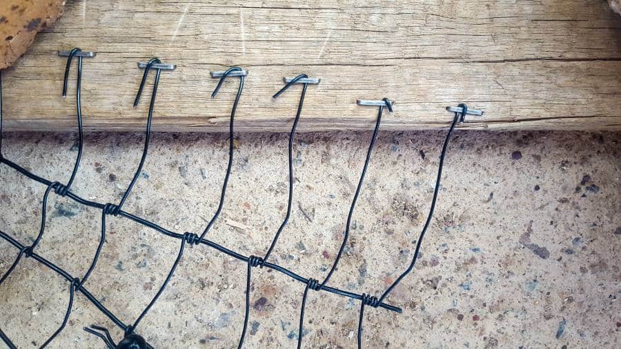 Staple the wire web to the frame