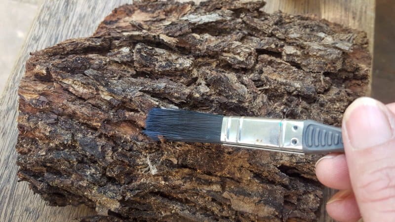 Use a dry paint brush to clean the piece of bark