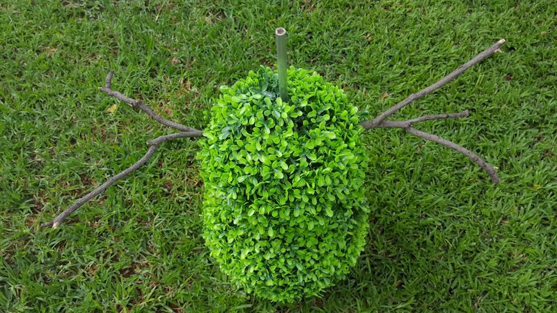 Add a medium sized topiary ball and stick arms
