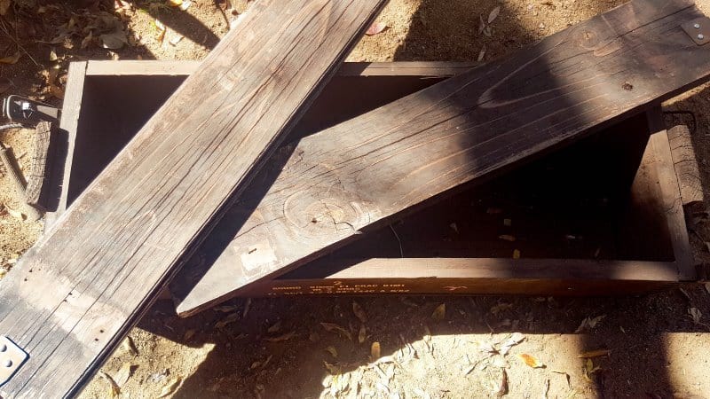 An old ammo box with a buckled lid