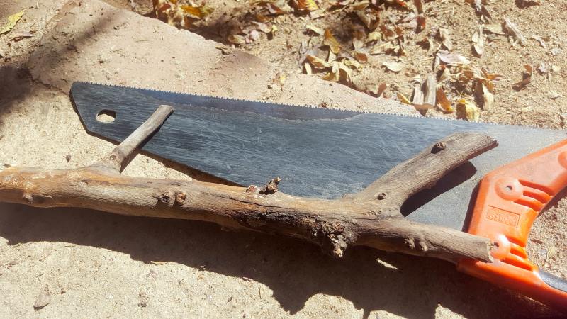 Cut the branch into a handle shape using a saw