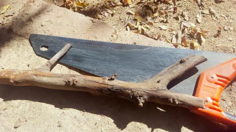 Cut the branch into a handle shape using a saw