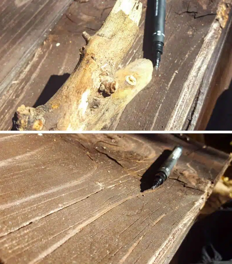 Place the branch on the lid and mark where it should go