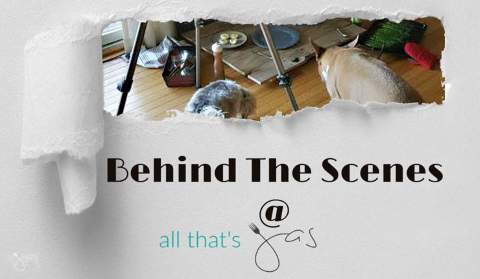 Dirty Little Secrets - Behind the Scenes of a DIY Blog