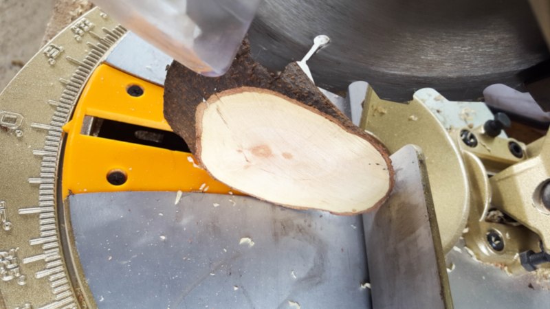 Cut the branch at an angle