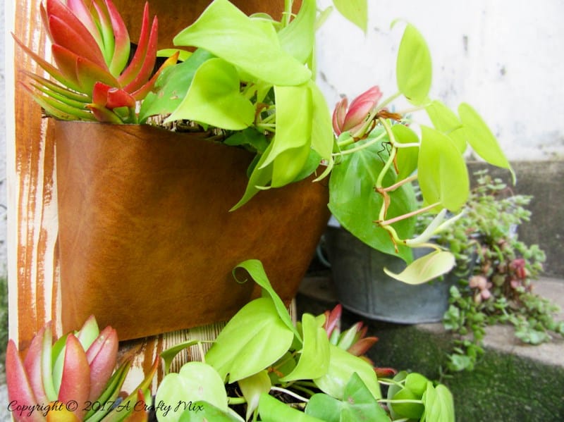 Calling all thrifty biophiliacs. This gorgeous vertical planter is made from empty DVD cases. Quick to make in just a few easy steps, this affordable DIY project  makes the perfect gift for the plant-lover in your life and looks great hanging on the wall or propped up on a bookshelf. 