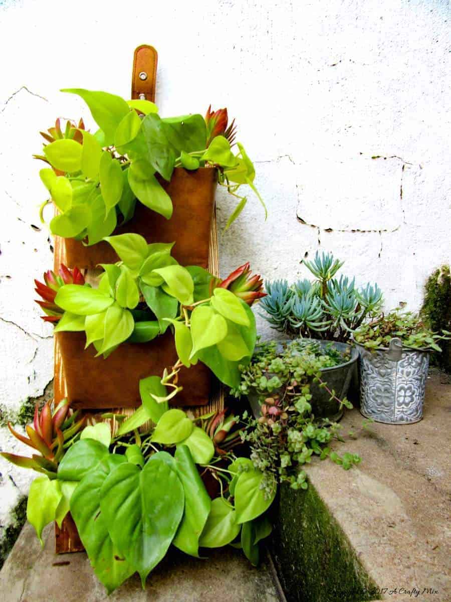Calling all thrifty biophiliacs. This gorgeous vertical planter is made from empty DVD cases. Quick to make in just a few easy steps, this affordable DIY project makes the perfect gift for the plant-lover in your life and looks great hanging on the wall or propped up on a bookshelf.