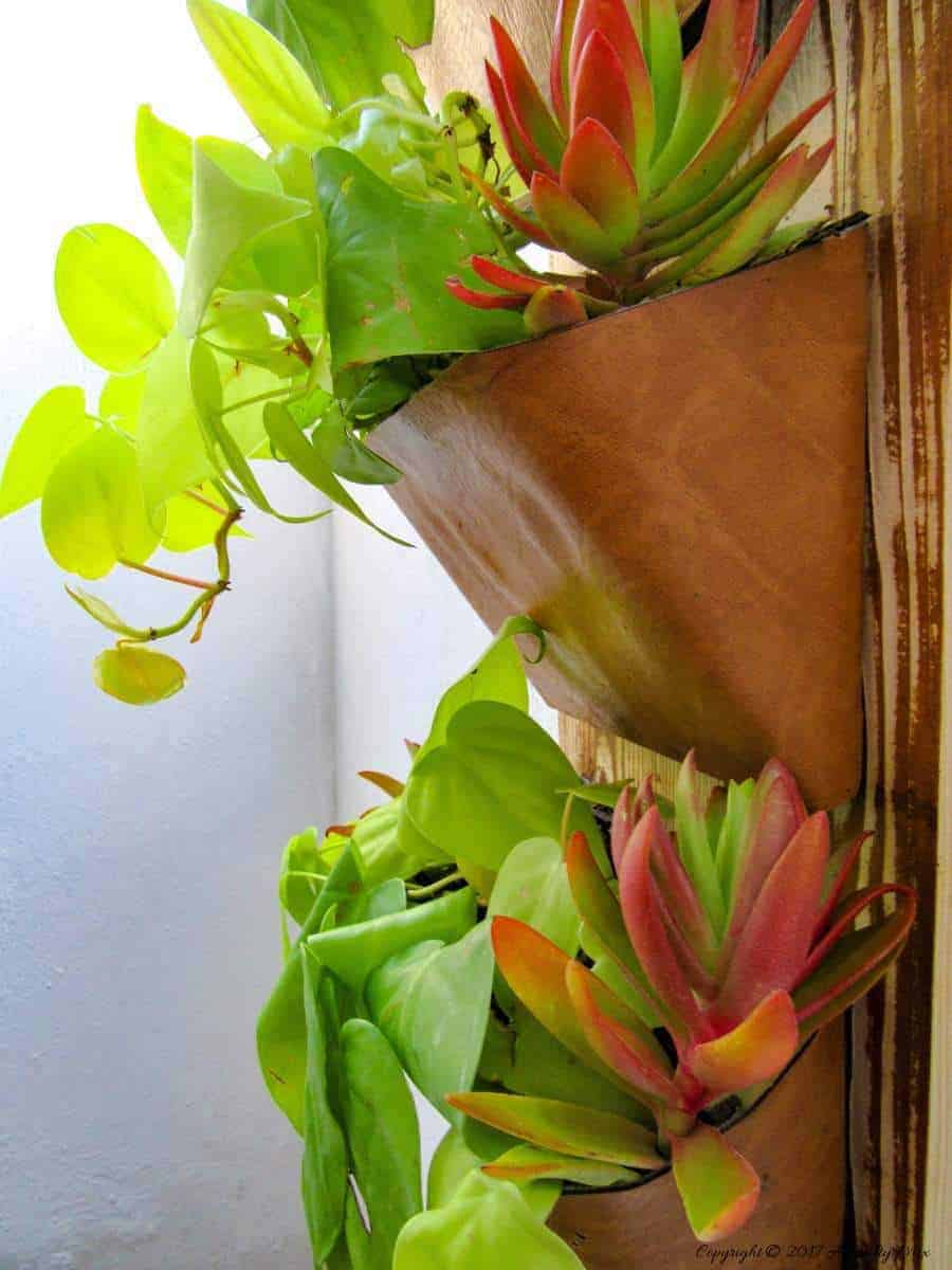 Calling all thrifty biophiliacs. This gorgeous vertical planter is made from empty DVD cases. Quick to make in just a few easy steps, this affordable DIY project  makes the perfect gift for the plant-lover in your life and looks great hanging on the wall or propped up on a bookshelf. 