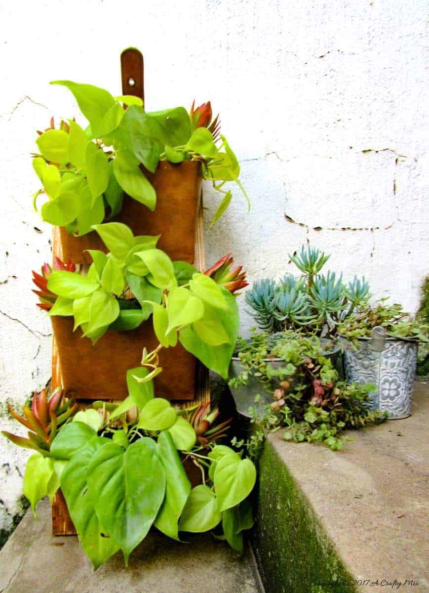 Use Old DVD Cases to Make a Vertical Garden A Crafty Mix
