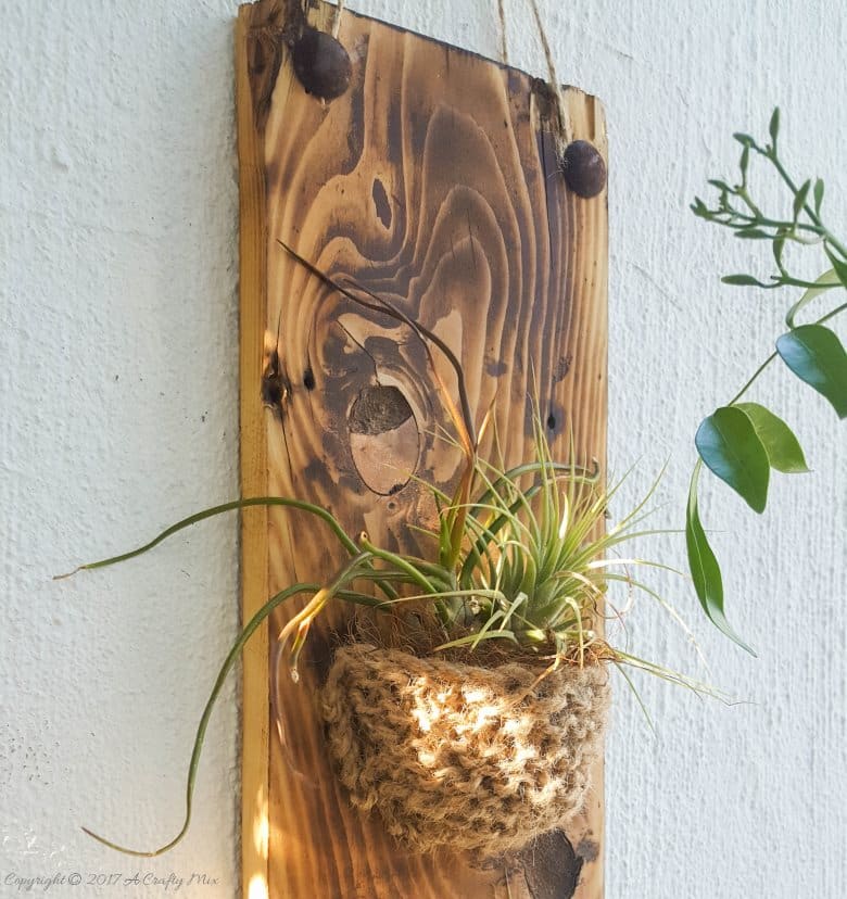 Add something special to your garden with this easy to make knitted planter. Perfect for air plants or succulents #Planter #ACraftyMix #GardenDecor