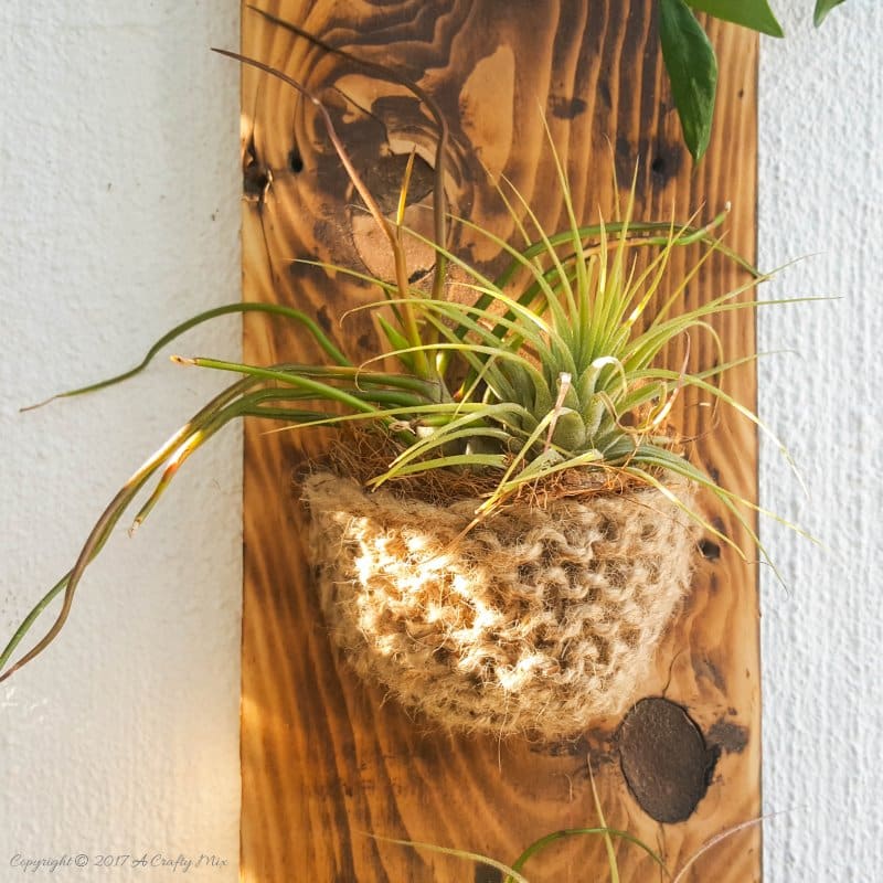 Add something special to your garden with this easy to make knitted planter. Perfect for air plants or succulents #Planter #ACraftyMix #GardenDecor