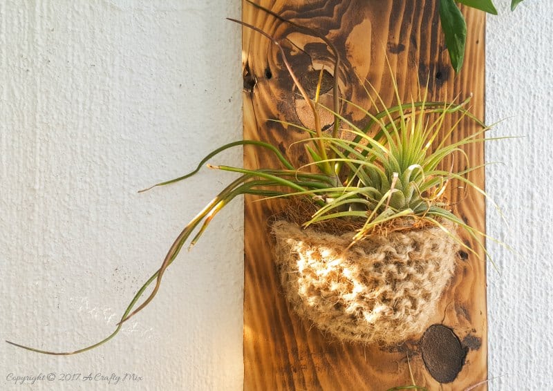 Add something special to your garden with this easy to make knitted planter. Perfect for air plants or succulents #Planter #ACraftyMix #GardenDecor