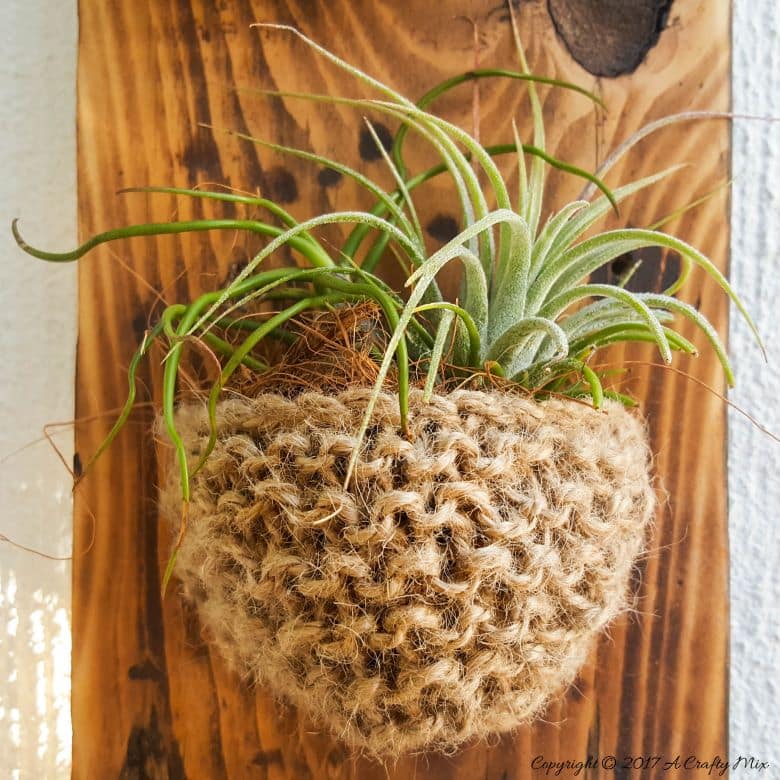 Add something special to your garden with this easy to make knitted planter. Perfect for air plants or succulents #Planter #ACraftyMix #GardenDecor