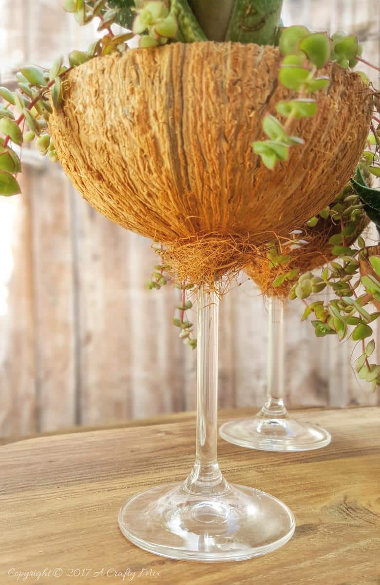Combine broken wine glass stems and coconuts to create this unique, upcycled and eco-friendly planter. Full tutorial @ACraftyMix