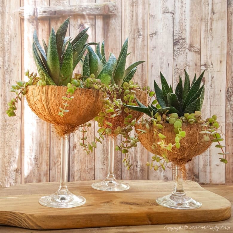 Combine broken wine glass stems and coconuts to create this unique, upcycled and eco-friendly planter. Full tutorial @ACraftyMix
