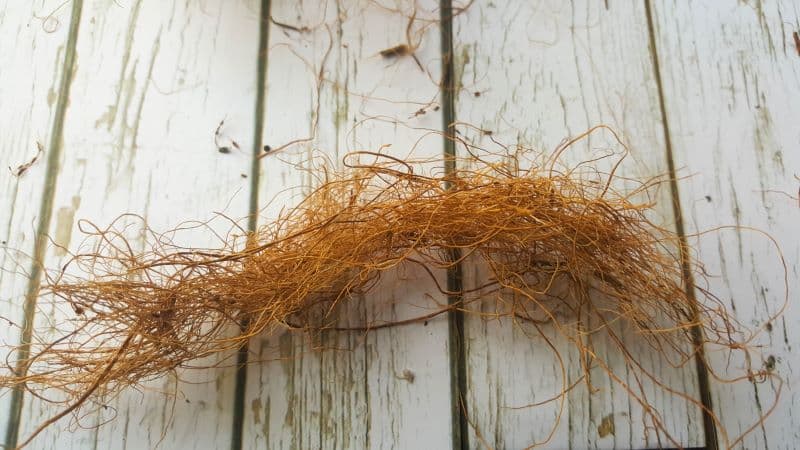 Twist the coconut fibre into a strand