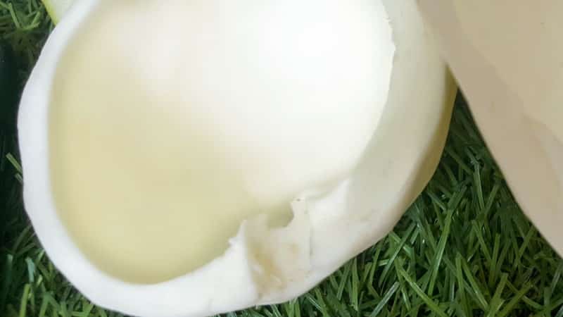 Close up of the DIY silicone mould (mold) after removing the pear