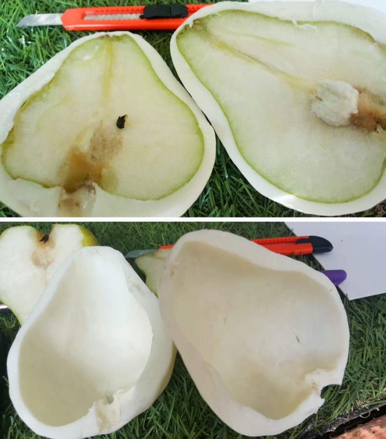 To demold use a sharp knife to cut through the 2-ingredient mold and pear