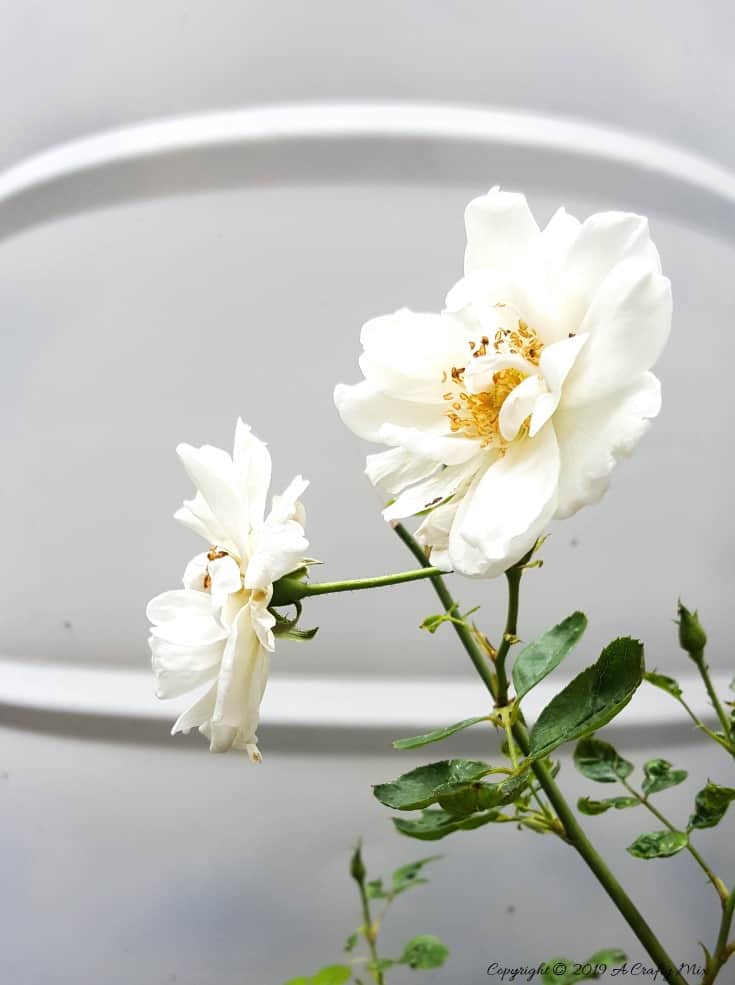 Close up of the icebergs #drumwaterfeature #PVChandpump #DIYTutorial #ACraftyMix