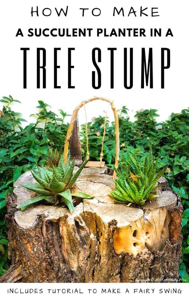 Tree stumps come in different shapes and sizes, making them a unique and personalized planter option that can add character and charm to any outdoor space. We'll show you how to make a beautiful, eco-friendly tree stump succulent planter. Add a small swing and turn that stump into a fairy garden to make it extra special.   #ACraftyMix