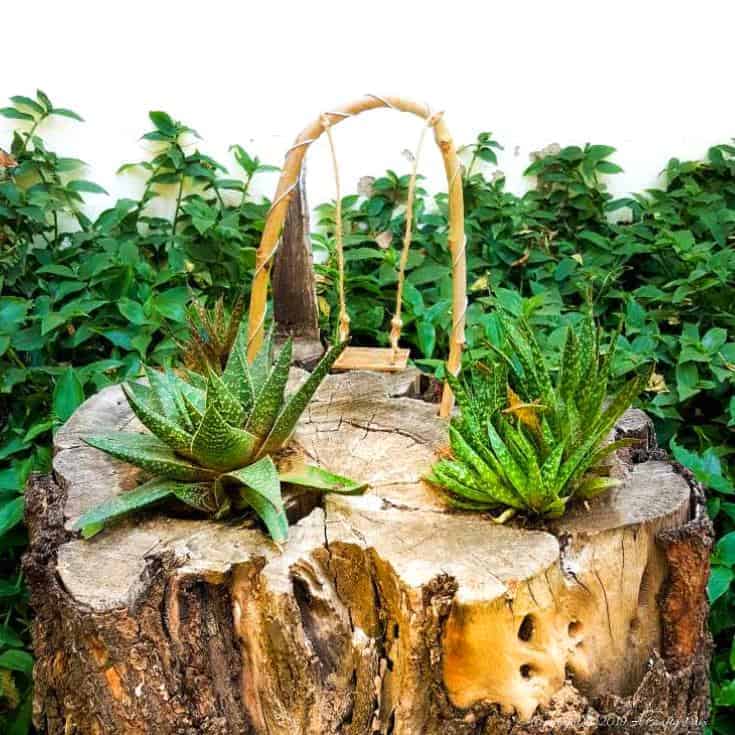 How to make a beautiful and unusual succulent tree stump planter. #treestumpplanter #DIYplanter #fairyswing #DIYTutorial #FairyGardens #SucculentPlanter #HowTo #ACraftyMix