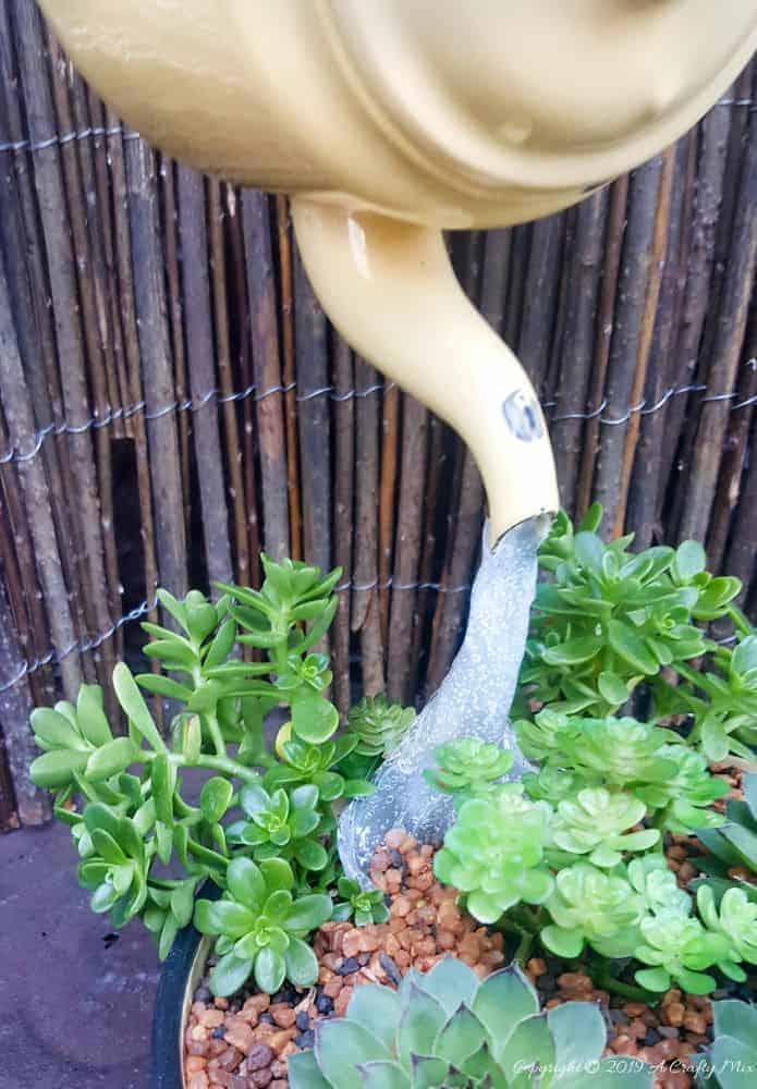 A beautiful floating teapot planter viewed from the top. Come see how to make your own #SucculentPlanter #FloatingTeapot #ACraftyMix #DIYTutorial #ForkRepurpose #CrazyCrafts