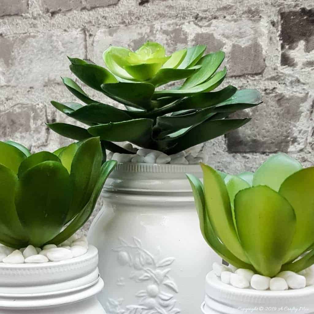 Make your own set of succulent mason jar canisters! Perfect for your kitchen or bathroom and succulents are so trendy right now, #masonjarcanisters #masonjarcanisterset #kichendecor #masonjar #masonjarcrafts #bathroomdecor #homedecor #rustic #farmhouse #succulent #storage