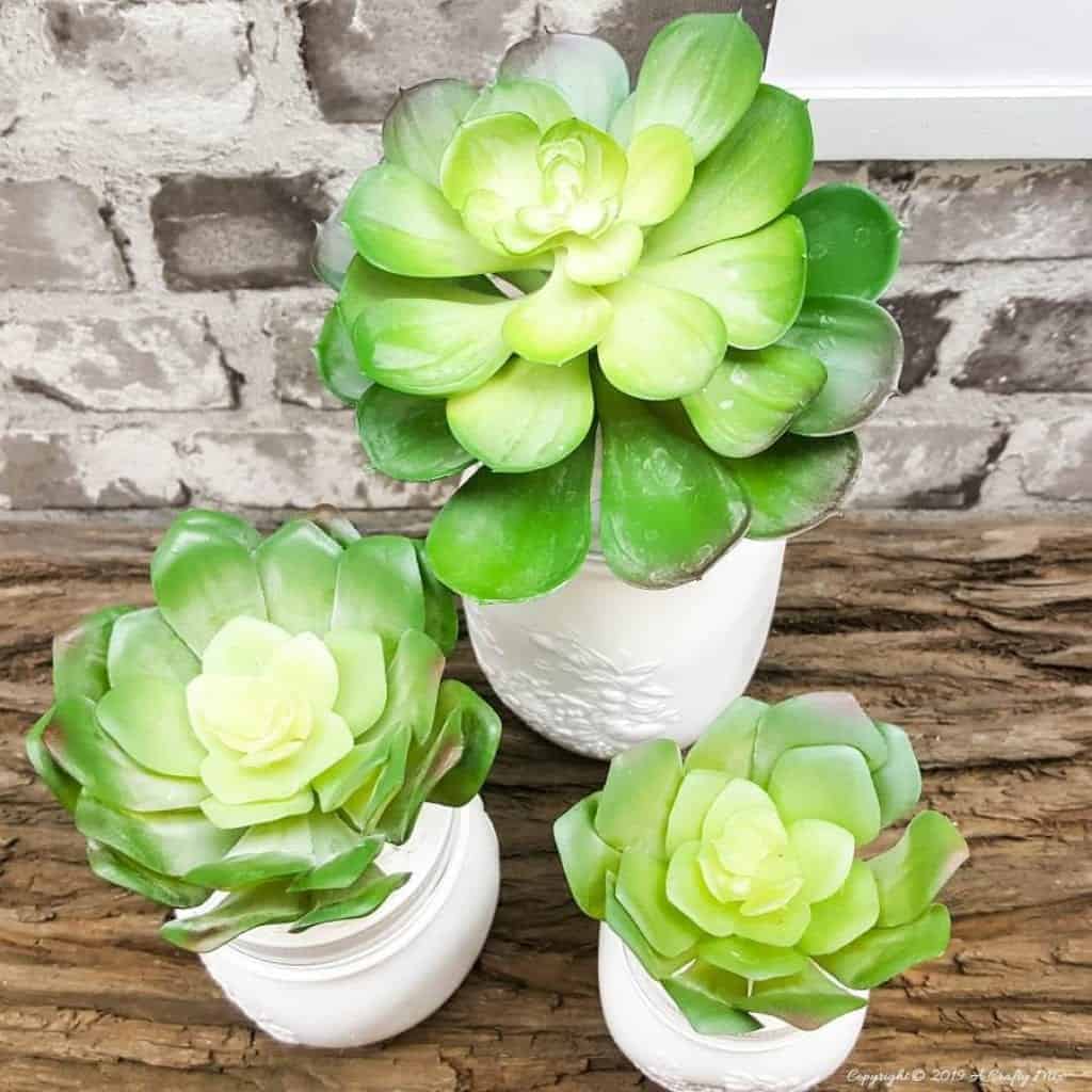 Top down view of the DIY set of succulent mason jar canisters! Perfect for your kitchen or bathroom and succulents are so trendy right now, #masonjarcanisters #masonjarcanisterset #kichendecor #masonjar #masonjarcrafts #bathroomdecor #homedecor #rustic #farmhouse #succulent #storage