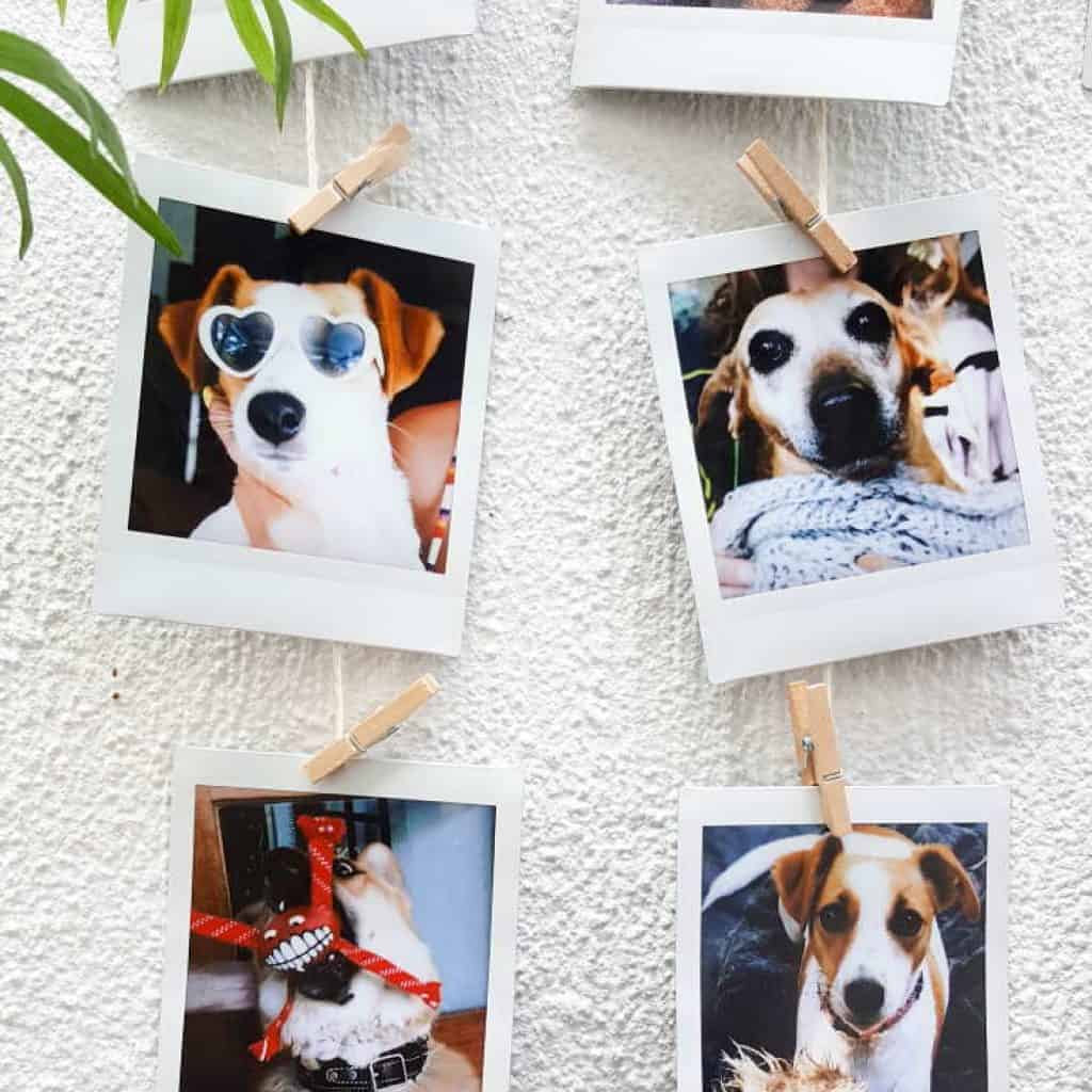 A gorgeous, fun, and simple DIY yardstick photo display for all those Instagram prints and photos. And the pegs make it easy to change them around anytime you want! #photodisplay #diy #diyproject #photodisplay #familyphotos #home #homedecor #acraftymix #instagramphotos #instax