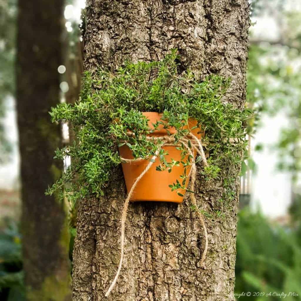 How to cut terracotta pots so they don't break or crack,. Use them to create beautiful outdoor tree planters #terracottapots #treeplanters #easycrafts #planterideas #terracottaplanters