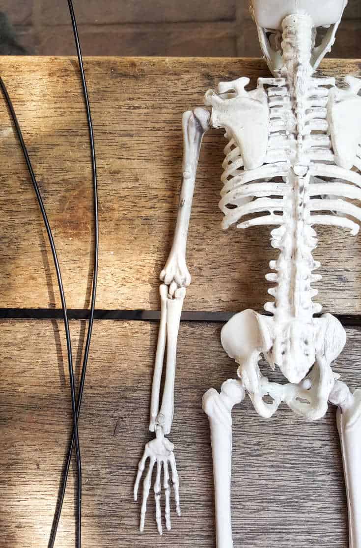 Bending the wire to make the frame for the vampire wings. #ACraftyMix #FunHalloweenCraft #EasyHalloweenCraft #HalloweenDIY #HalloweenCraft #HolidayCraft