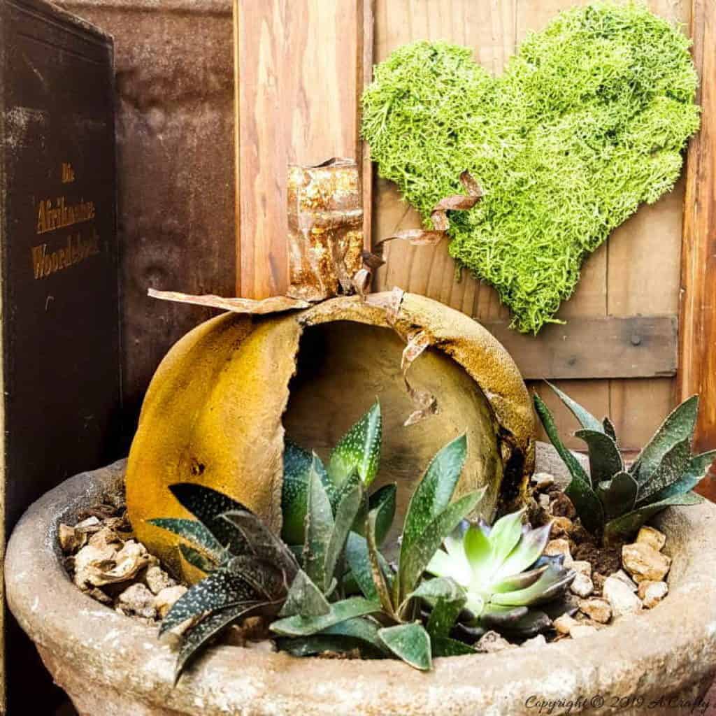 A beautiful close up of the stained concrete planter #concreteplanter #concretepumpkin #stainedconcrete #concreteDIY #acraftymix #howtotutorial #succulentplanter #cementplanter