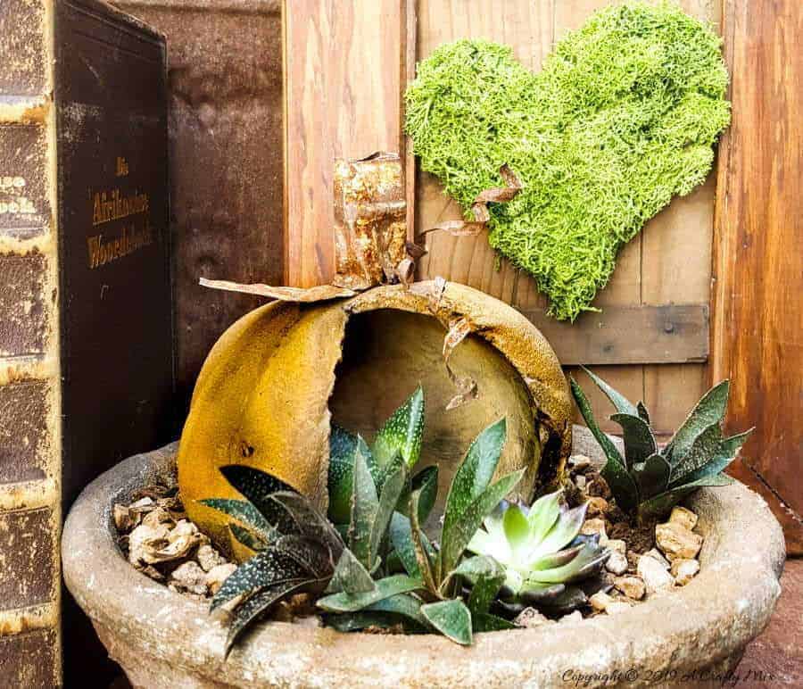 A beautiful close up of the stained concrete planter #concreteplanter #concretepumpkin #stainedconcrete #concreteDIY #acraftymix #howtotutorial #succulentplanter #cementplanter