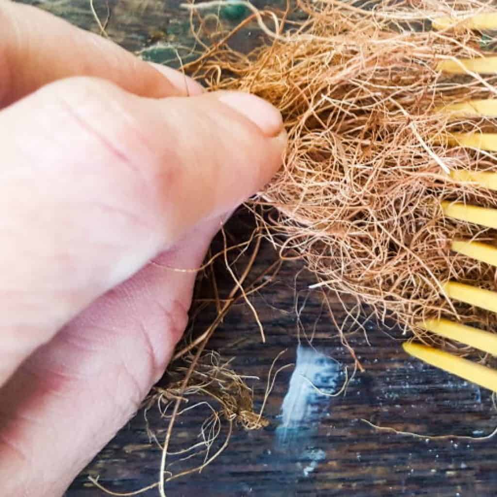 Use an old comb to straighten the coconut fiber out #Halloweendecor #dollmakeover #spidergirl #acraftymix #halloweentutorial #halloweenDIY #witchlegs #grandinroad #miniaturehalloween