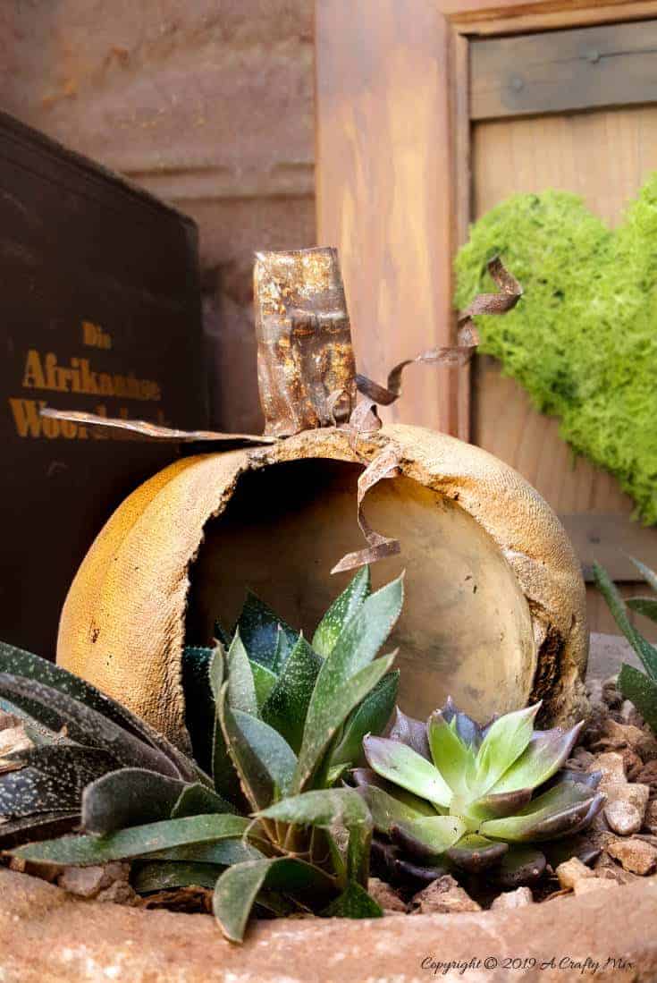 How to make a stained concrete planter with a rusty tin ceiling stalk#concreteplanter #concretepumpkin #stainedconcrete #concreteDIY #acraftymix #howtotutorial #succulentplanter #cementplanter