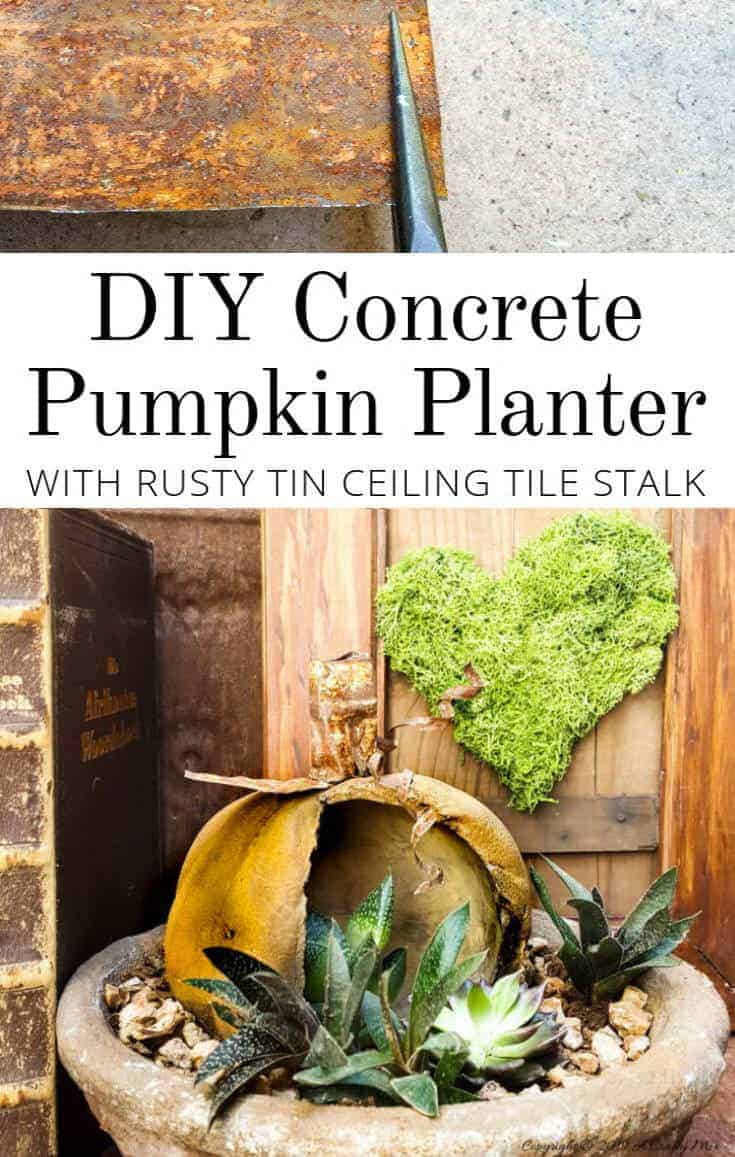 How to make a stained concrete planter #concreteplanter #concretepumpkin #stainedconcrete #concreteDIY #acraftymix #howtotutorial #succulentplanter #cementplanter