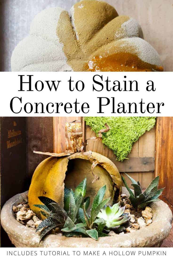 How to make a stained concrete planter #concreteplanter #concretepumpkin #stainedconcrete #concreteDIY #acraftymix #howtotutorial #succulentplanter #cementplanter